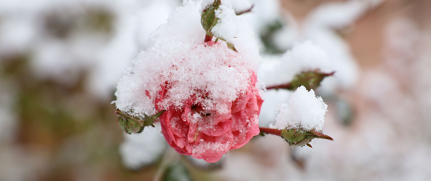 Zinzendorfplatz · Foto: Stephan Klingner